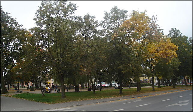 Wloszczowa rynek, Plac Wolności 37, Włoszczowa 29-100 - Zdjęcia