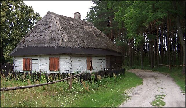 Wola Duża (pow biłgorajski)-chata 2, Wola Duża, Wola Duża 23-400 - Zdjęcia