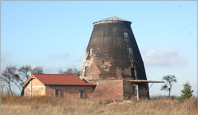 Wolin - młyn holenderski, Sienkiewicza Henryka, Sułomino 72-510 - Zdjęcia