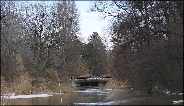 Wrocław, Park Wschodni 2010-02-28 - 172 Kładka Barani Skok 52-028 - Zdjęcia