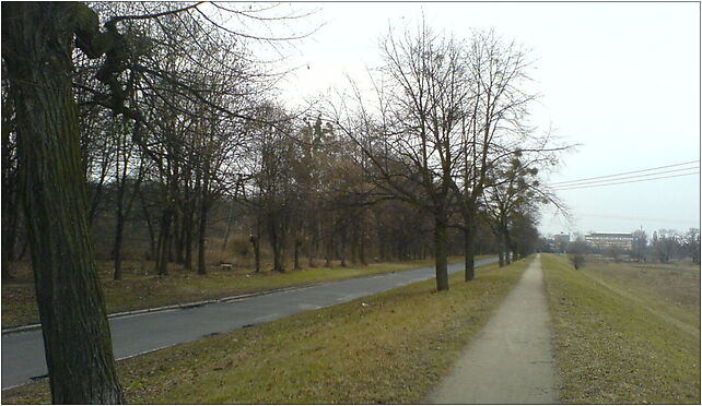 Wrocław, ulica Międzyrzecka, Las Rakowiecki, Międzyrzecka 50-421 - Zdjęcia