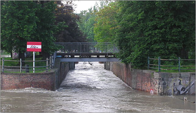 Wrocław, woda, 2010-05-22 - 246, Grodzka, Wrocław 50-115 - Zdjęcia