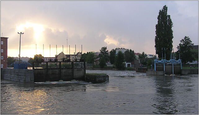 Wrocław, woda, 2010-05-22 - 323, Księcia Witolda, Wrocław 50-115 - Zdjęcia