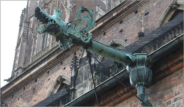 Wrocław Cathedral - gargoyle, Katedralny, pl. 6, Wrocław 50-329 - Zdjęcia