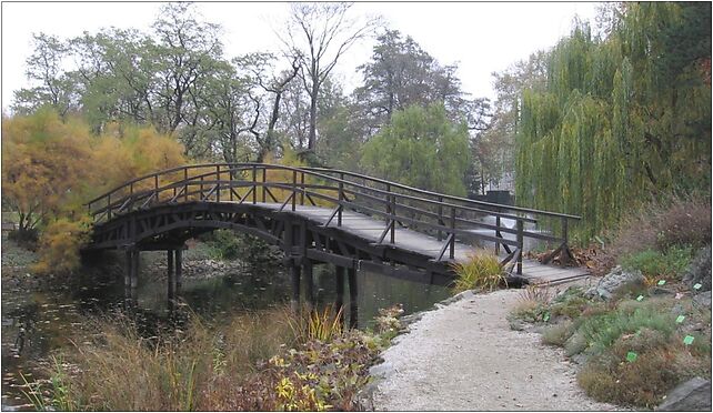 Wroclaw OgrodBotaniczny mostek, Kanonia, Wrocław 50-328 - Zdjęcia