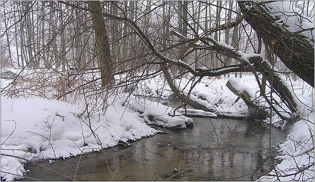 Wyżnica River, Krótka, Józefów nad Wisłą - Zdjęcia