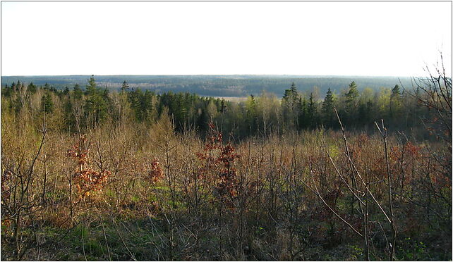 Wzgorza Swietojanskie - Kopna gora - widok, Kołodno, Kołodno 16-040 - Zdjęcia