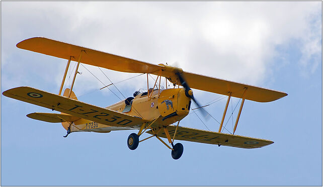 Yellow Tiger Moth Góraszka, Góraszka, Góraszka 05-462 - Zdjęcia