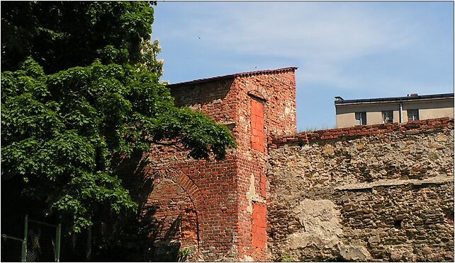 Ząbkowice Śląskie-mury miejskie, Kamieniecka, Ząbkowice Śląskie 57-200 - Zdjęcia