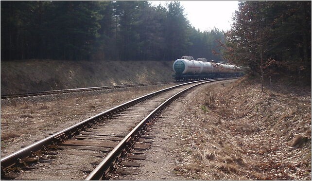 Zablotczyzna widok z LK912, Zabłotczyzna, Zabłotczyzna 17-220 - Zdjęcia