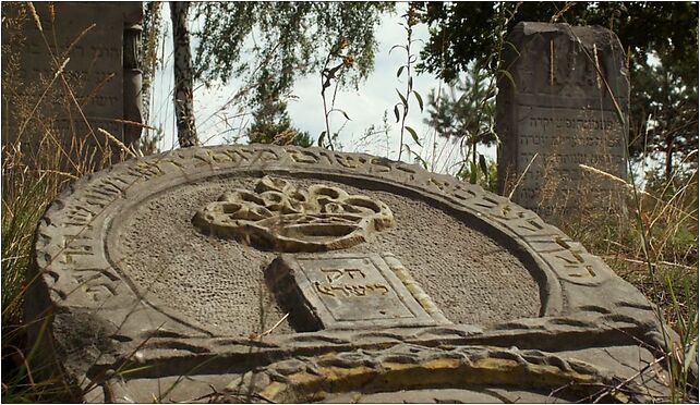 Zaklikow Jewish Cemetery, Zaśluzie, Dąbrowa 23-230 - Zdjęcia