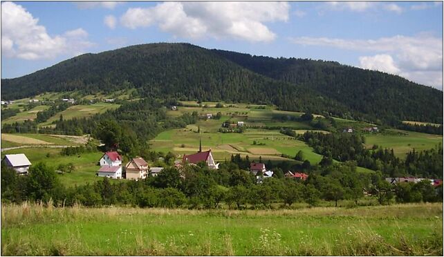 Zalesie (pow limanowski)-panorama, Pod Modyń - Zdjęcia