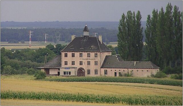 Zalesie Śląskie-stacja PKP, św. Jadwigi, Zalesie Śląskie 47-150 - Zdjęcia