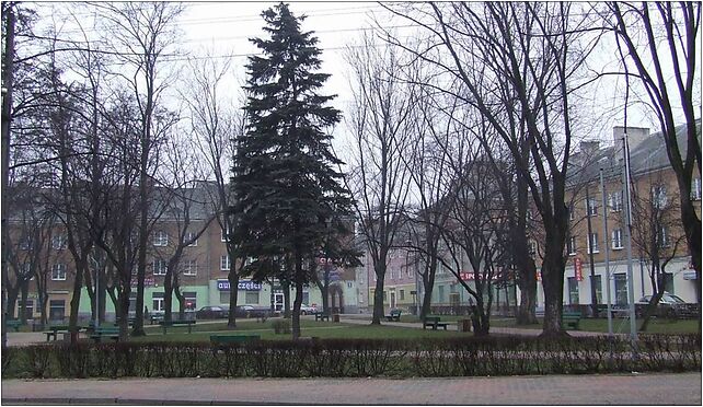 Zambrów rynek1, Sikorskiego Władysława, gen., pl. 7, Zambrów 18-300 - Zdjęcia