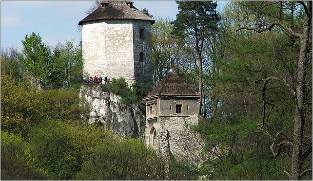 Zamek w Ojcowie a1, Czyżówki, Czyżówki 32-046 - Zdjęcia