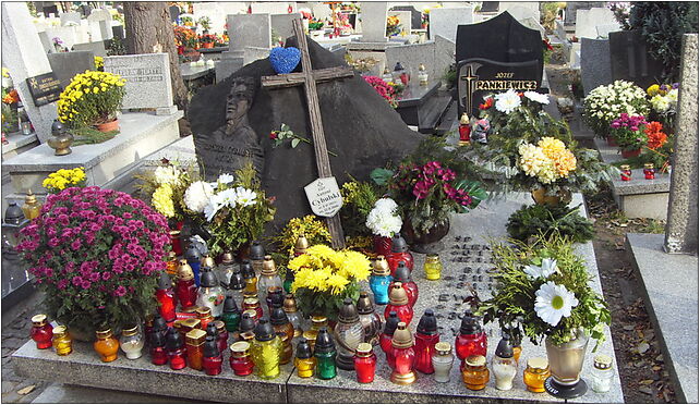 Zbigniew Cybulski grave 2010 (2), Sienkiewicza Henryka, Katowice od 40-031 do 40-039 - Zdjęcia