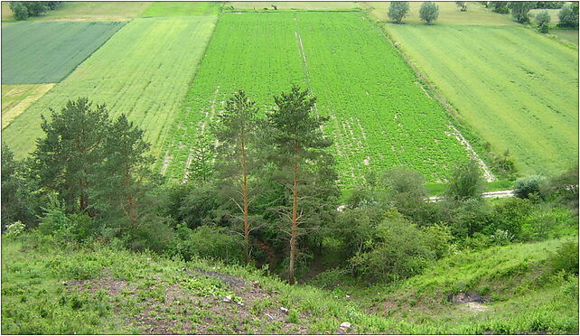 Zbocza plutowskie downward, Starogród, Starogród 86-200 - Zdjęcia