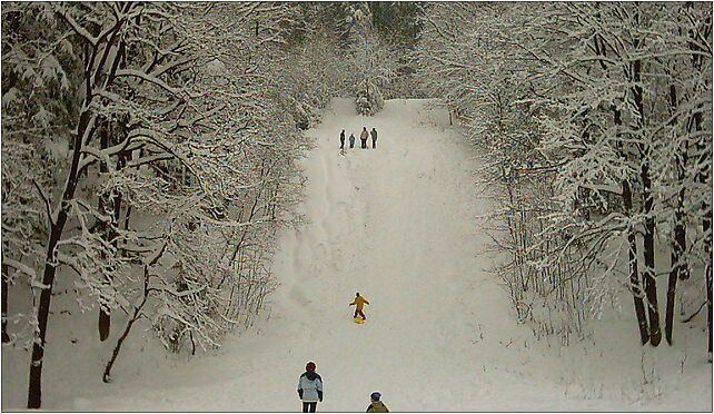 Zbocze Koziej Gory na ktorym do niedawna znajdowala sie skocznia narciarska 43-360 - Zdjęcia