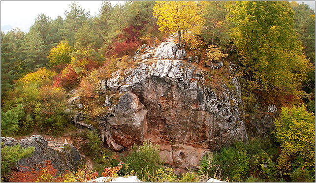 Zelejowa 01 ssj 20051015, Zelejowa, Korzecko 26-060 - Zdjęcia