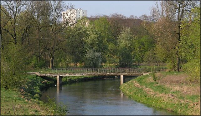 Zglowiaczka River view from Wysoka Street - photo 02, Piwna 87-800 - Zdjęcia