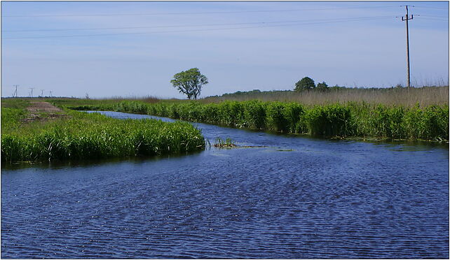 Zgnila Rega confluence Stara Rega 2009-06, Trzebiatowska, Mrzeżyno 72-330 - Zdjęcia