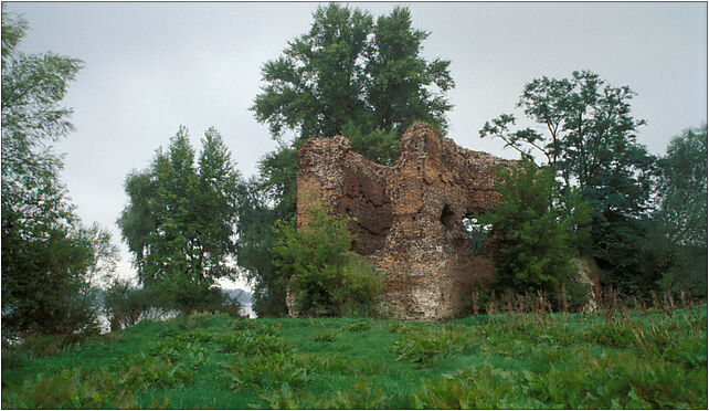 Zlotoria (js), Toruńska, Złotoria 87-162 - Zdjęcia