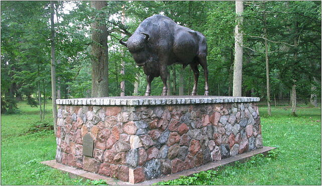 Zwierzyniec pomnik Żubra, Zwierzyniec - Zdjęcia